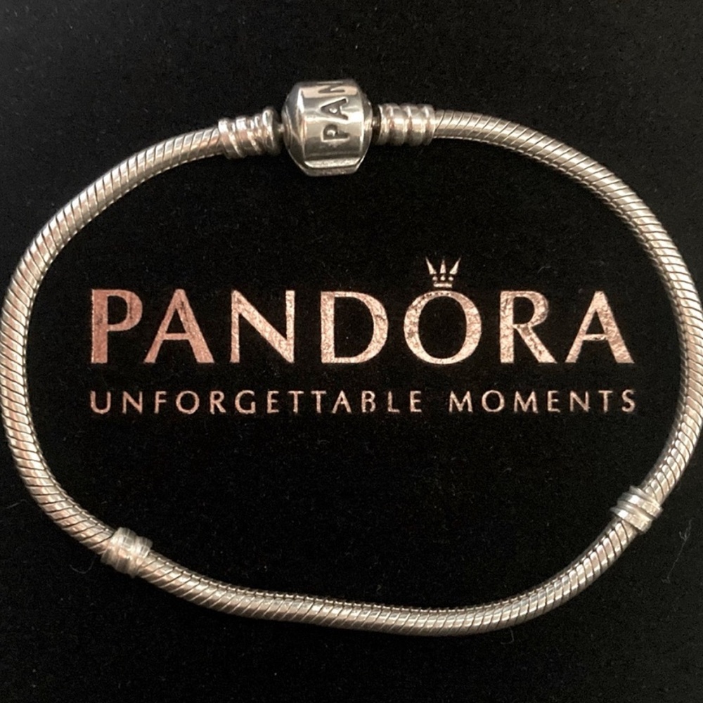 Pandora Moments Snake Chain Bracelet
